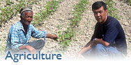 photo, spotlight sustainable agriculture