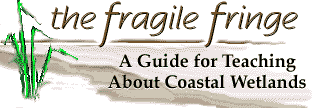 Fragile Fringe logo