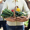 A woman holding a basket of organic vegetables.