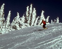 Snow scene Skier 2010 Olympics