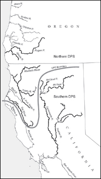 Green Sturgeon DPS Map. The Northern DPS includes populations from the Rogue, Klamth-Trinty, and Eel rivers. The Southern DPS includes a single population in the Sacramento River.