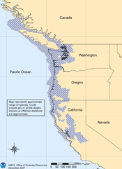 green sturgeon range map