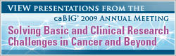 caBIG 2009 Annual Meeting - Solving Basic and Clinical Research Challenges in Cancer and Beyond