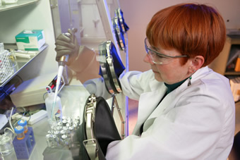 ORNL's Bioenergy Science Center is focusing on new ways of developing ethanol from crops, such as switchgrass and poplar trees.