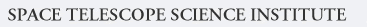 STScI Logo