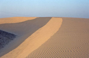Dunes in Sinai Desert