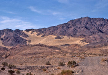 stabilized sand in Mojave Desert