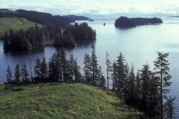 Afognak coastline, Kazakof Bay, 1986. Photo FWS.