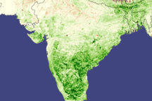Monsoon Spurs Indian Green-up