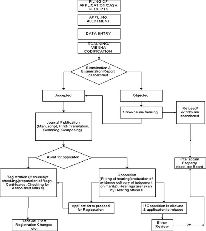 Flow chart of the process