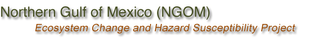 Northern Gulf of Mexico (NGOM) Ecosystem Change and Hazard Susceptibility Project