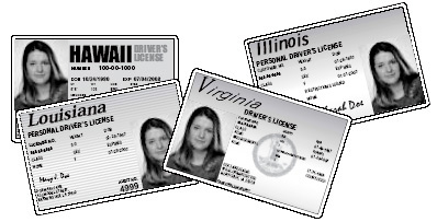 An image of 4 driver's licenses each from a different state with the same person's picture and information