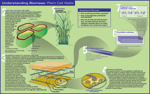 Biofuels Placemat