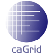 Small caGrid Logo