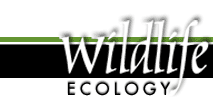 Wildlife Ecology