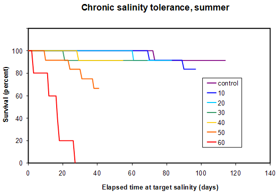 Figure 3. Survival of Nile tilapia at 30°C in chronic salinity tolerance trials (see methods, above) in saline waters (0-60 ppt).  Fish at 70 ppt died within one day.  No fish survived at salinities above 70 ppt.