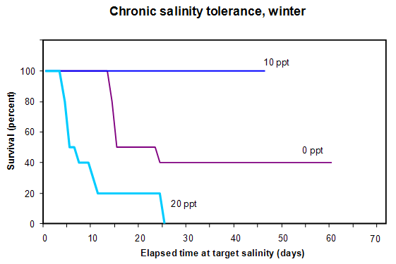 Figure 4. Survival of Nile tilapia at 14°C in chronic salinity tolerance trials (see methods, above) in saline waters (0-20 ppt).  No fish survived at salinities above 20 ppt.