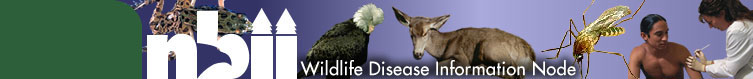 Wildlife Disease Information Node Banner