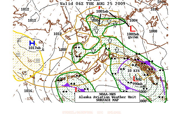 Forecast Surface Map