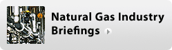 Natural Gas Industry Briefings