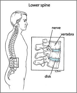 Lower spine