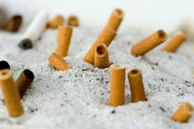 a photo of cigarettes snuffed out in a communal ashtray.