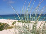 coastal dune image