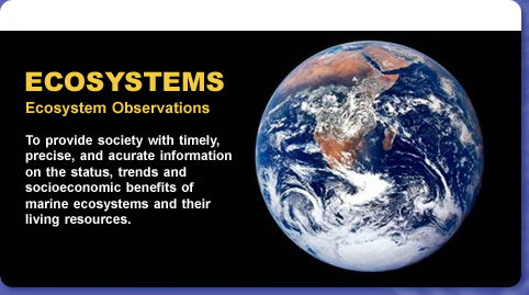 Ecosystem Observations