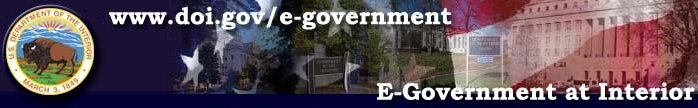 graphic of E-government banner