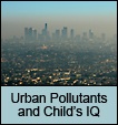 Urban Pollutants and Child’s IQ 