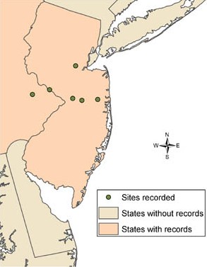 Glossostigma distribution map - click to enlarge