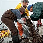Cleaning of Puget Sound Brings Tribes Full Circle