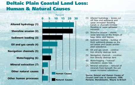 Chart: Deltaic Plain Coastal Land Loss: Human & Natural Causes;  (1) Altered hydrology - levees cut off flow and sediments and cause increased flooding. Canals or channels increase flooding or cause saltwater intrusion. (2) Shoreline erosion - storms cause land loss on the fringes of bays, lakes, and bayous. (3) Sediment loading - buildup of thick sediments presses on the soil below and causes accelerated subsidence. (4) Oil and gas canals - construction directly destroys land. (5) Navigation channels - construction directly destroys land. (6) Waterlogging -"natural" subsidence causes loss. (7) Mineral extraction - removal of minerals from beneath the soil causes increased subsidence. Source: Natural and Human Causes of Coastal Land Loss in Louisiana; 1996; Penland, Mendelssohn, Wayne & Britsch