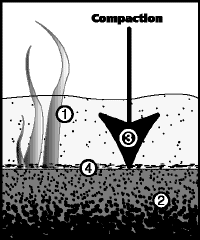 A diagram of subsidence with fresh water