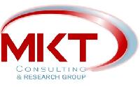 IBP - IFE 2009 - MKT Consulting