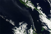 Plume from Rabaul Volcano