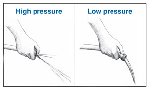 Two drawings: the left-side drawing is of a garden hose with the thumb of a person”s hand partially covering the opening, causing the water to spray out at a high pressure. A label says “high pressure.” The right-side drawing is of a garden hose with nothing covering the opening, which allows the water to flow freely. A label says “low pressure.”