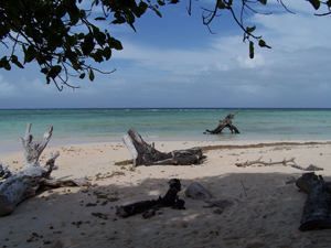 A beach near the village of Laura, Marshall Islands, April 25, 2007. [© AP Images]