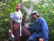 NASA researcher Lola Fatoyinbo seen here in June 2005 on the site where she conducted some of her field measurements.