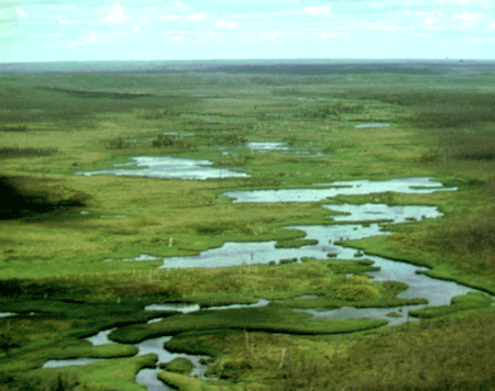 Wetlands on Koyukuk Refuge.  USFWS.