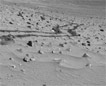 Click on this image to see larger view of 'Wheel Tracks'.