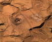 Click on this image to see larger view of 'Clovis'.