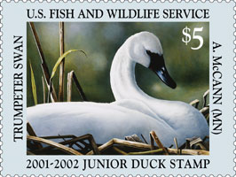 duck stamp