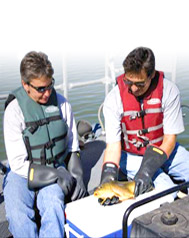 reserchers monitor fish