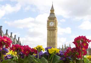 Spring flowers in front of St. Stephen's tower, containing Big Ben, London, United Kingdom, March 7, 2002. [© AP Images]