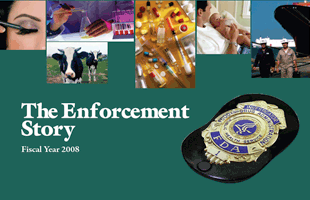 2008 Enforcement Story Cover