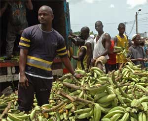 People sell bananas in a local market in Abidjan, Cote d'Ivoire, April 4, 2007. [© AP Images]
