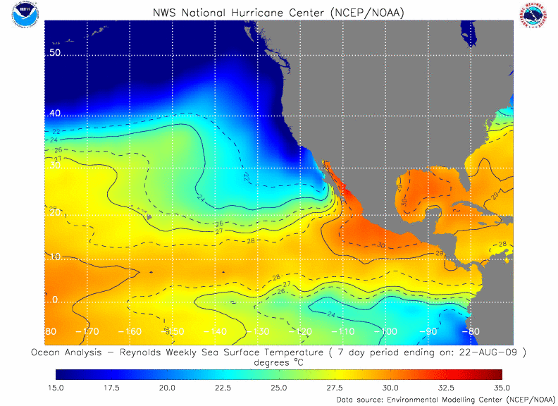 Reynolds Sea Surface Temperature Analysis