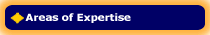 areas of expertise