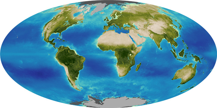 Global Biosphere
